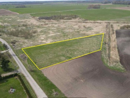 40 ARŲ ŽEMĖS SKLYPAS ŠIRVINTŲ R. SAV., JAUNIUNŲ SEN., ŠIAULIŲ K.